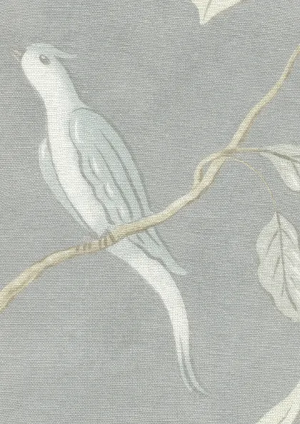 Honey Dove