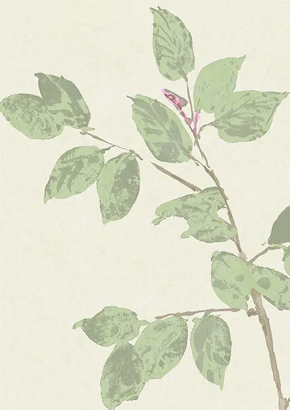 Document Green