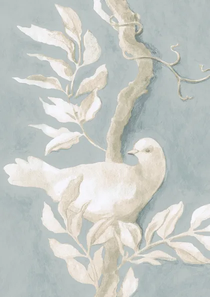 Rock Dove