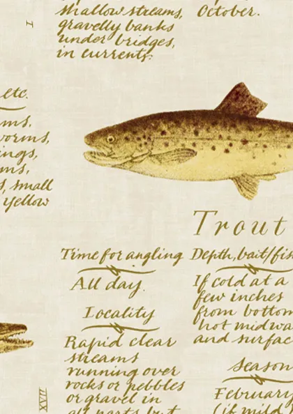 European Fish
