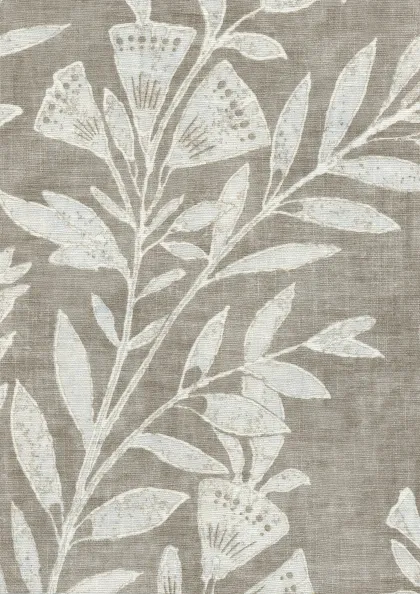 Plaster