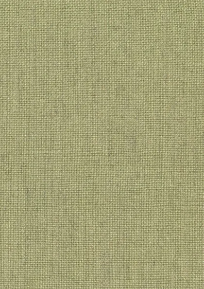 Oaksey Linen - Kiwi