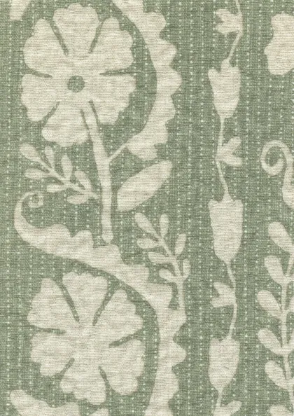 Fern