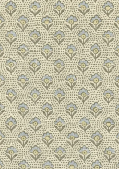 Speedwell - Honey Dove