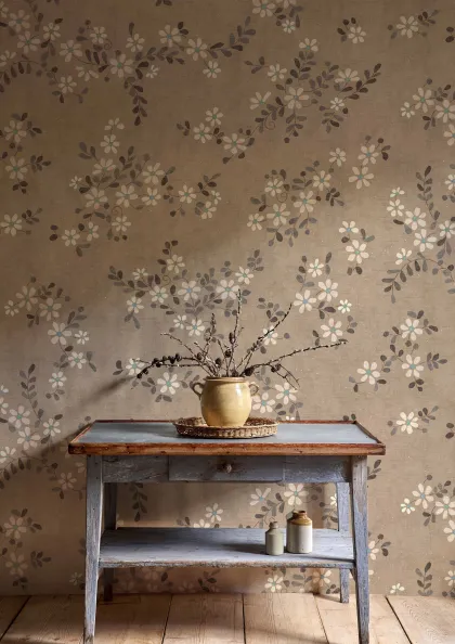 Stellata lifestyle image